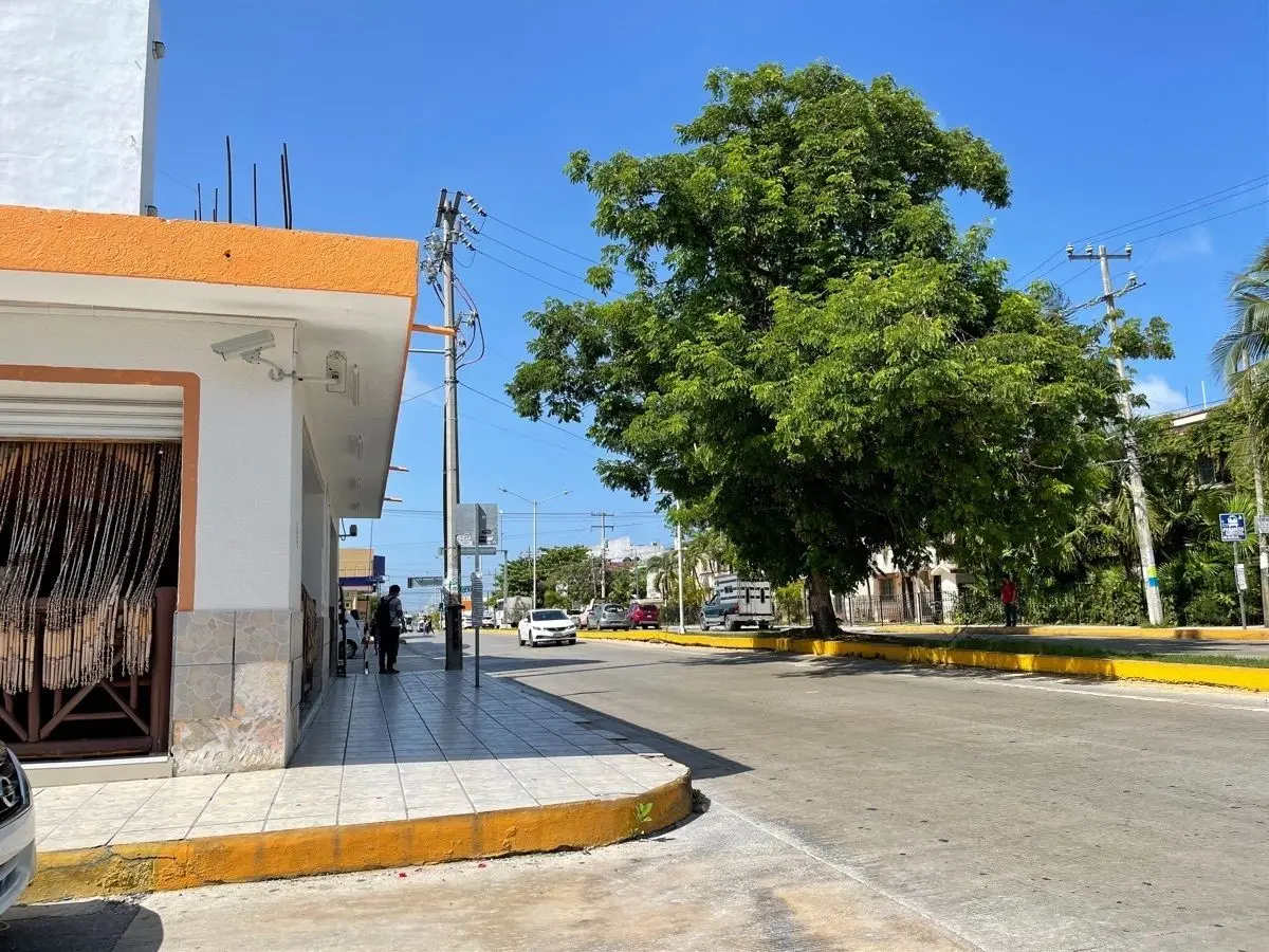 Renta Departamento Playa del Carmen Av 34 y 35 Centro — foto 9