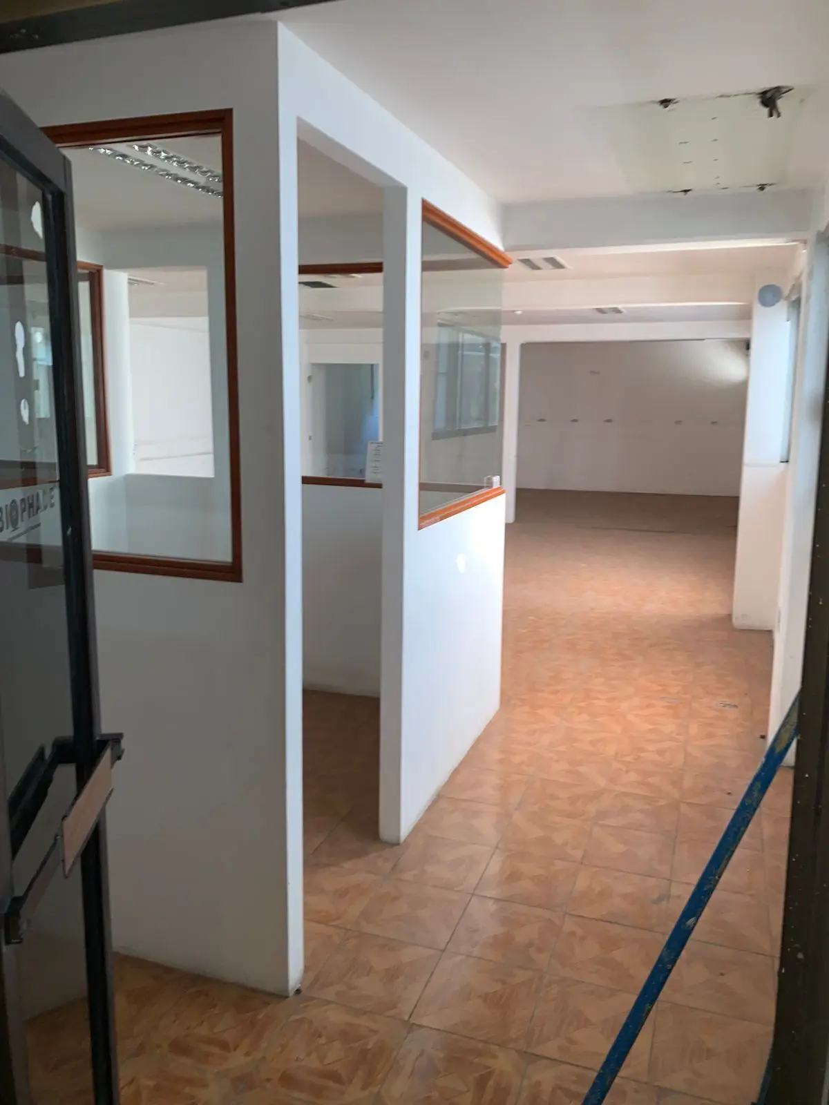 Renta - Piso 1 — foto 2