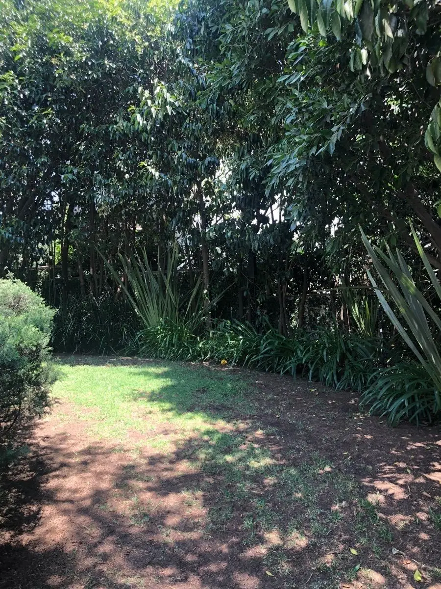 Mdv Venta Magnífica Casa Exclusiva en Privada en Bosques — foto 5