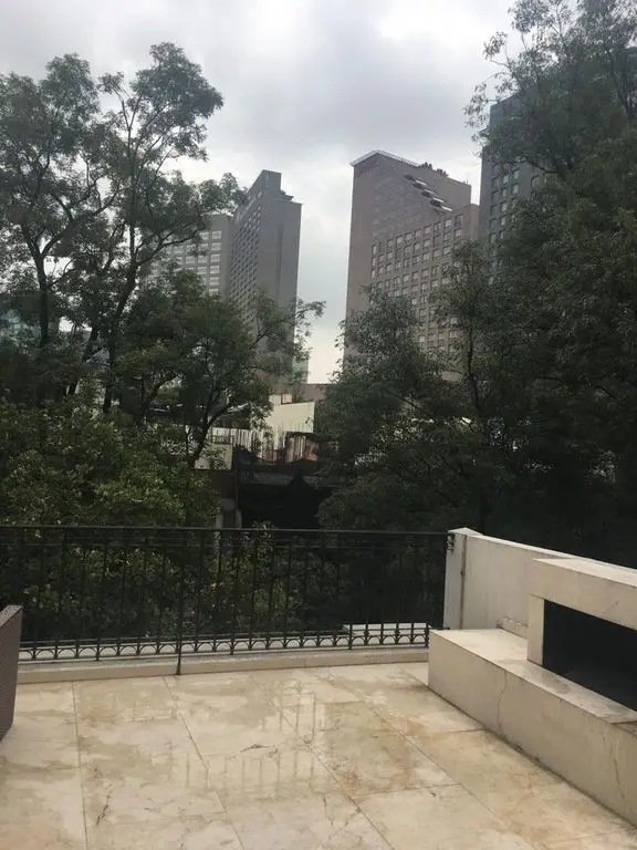 Mdv Renta de Ph con Fantastica Vista Polanco — foto 5