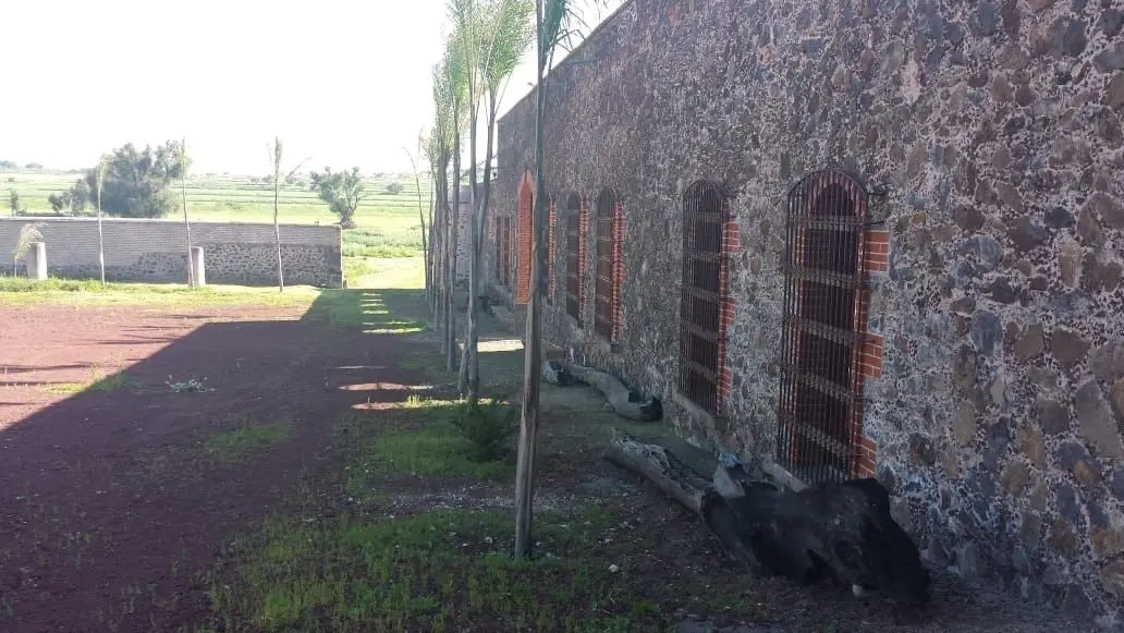Hacienda San Ignacio — foto 6