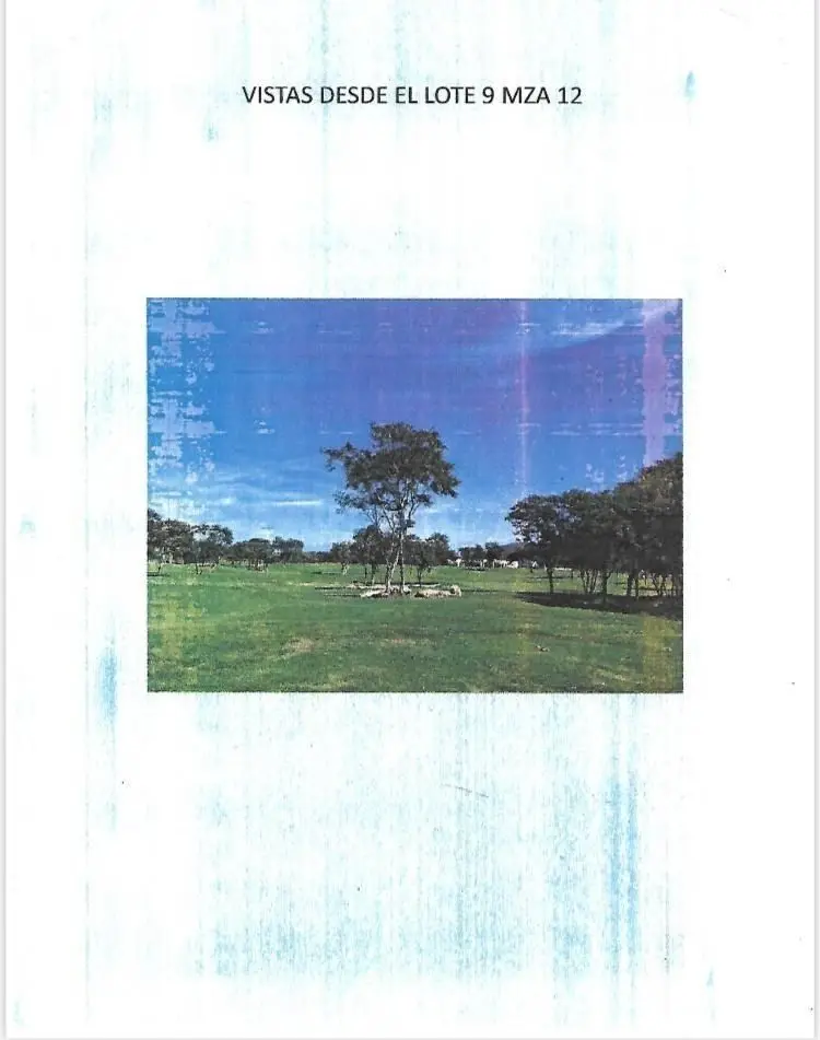 Excelente Lote (Terreno) y Acción en Venta Club de Golf Campeche Country Club — foto 5