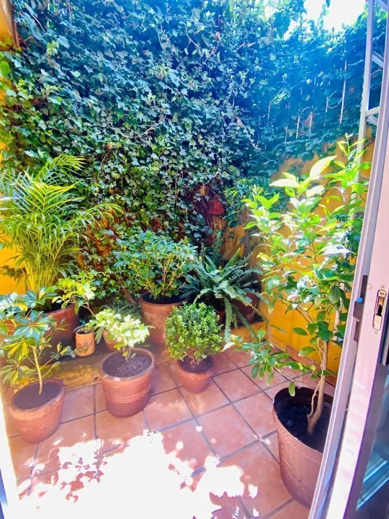 Cuajimalpa Antonio Ancona, Recien Remodelada — foto 3
