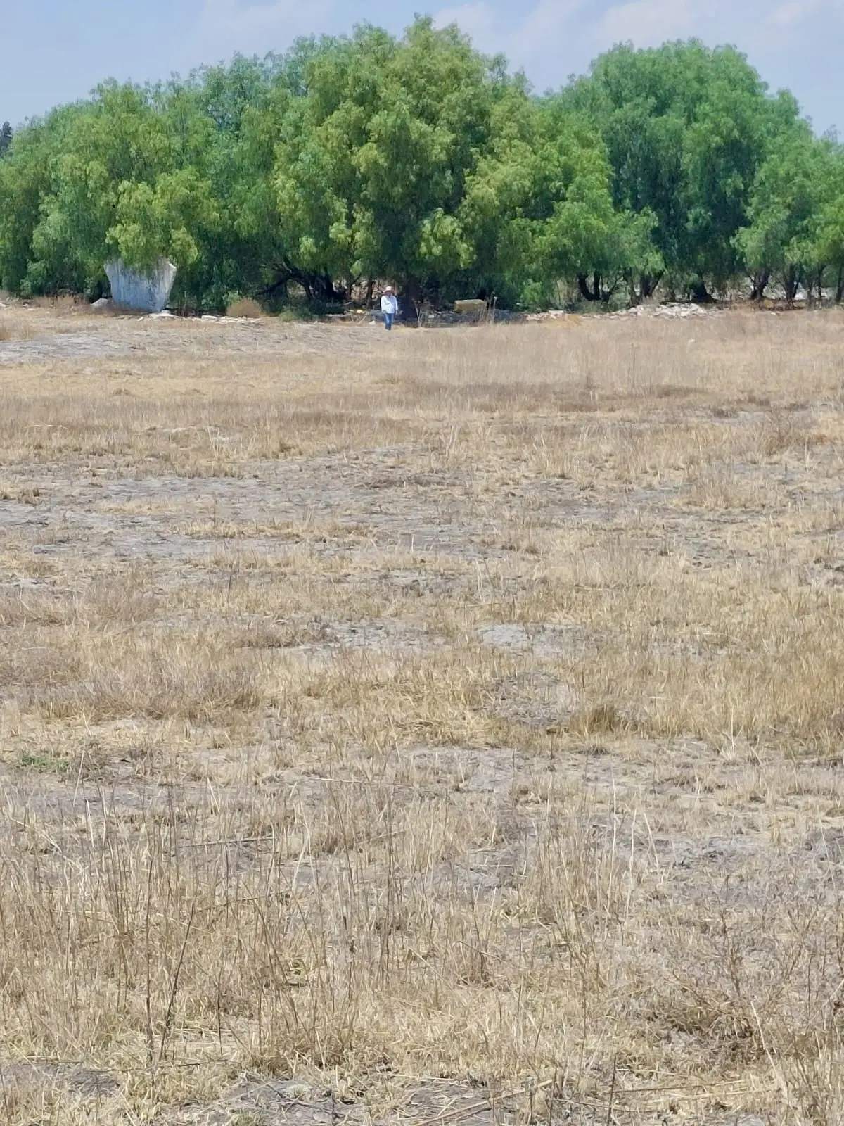Venta de terreno en Nextlalpan, Estado de México — foto 2