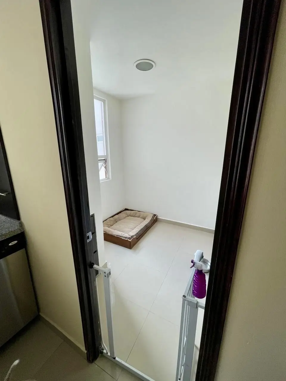Venta o Renta departamento La Paloma Bosque Real — foto 6