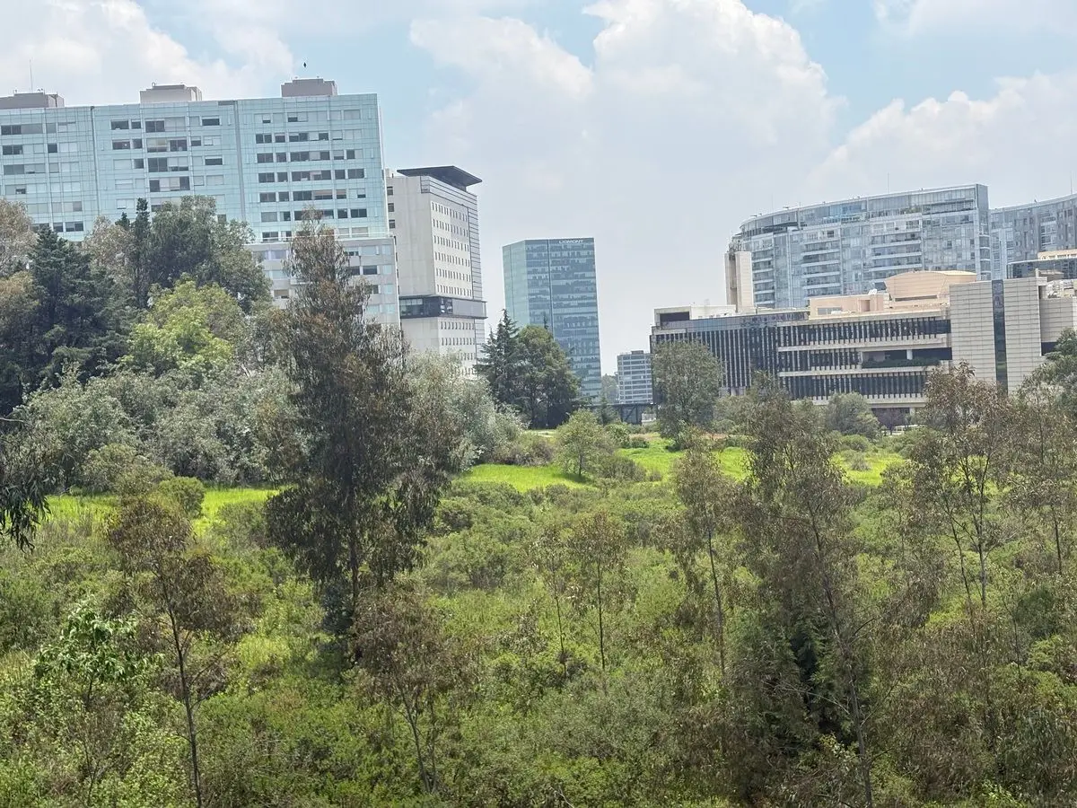 Excelente Departamento en Venta en Cuajimalpa — foto 4