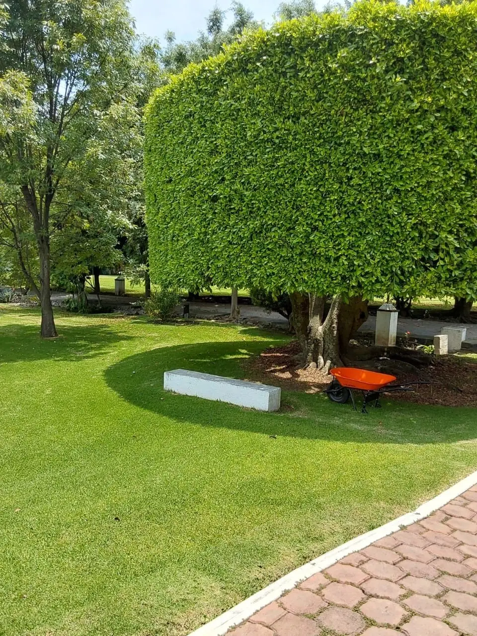 Casa de campo en Tenancingo-Venta o Renta — foto 3