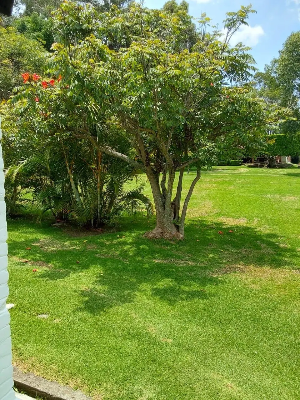 Casa de campo en Tenancingo-Venta o Renta — foto 6