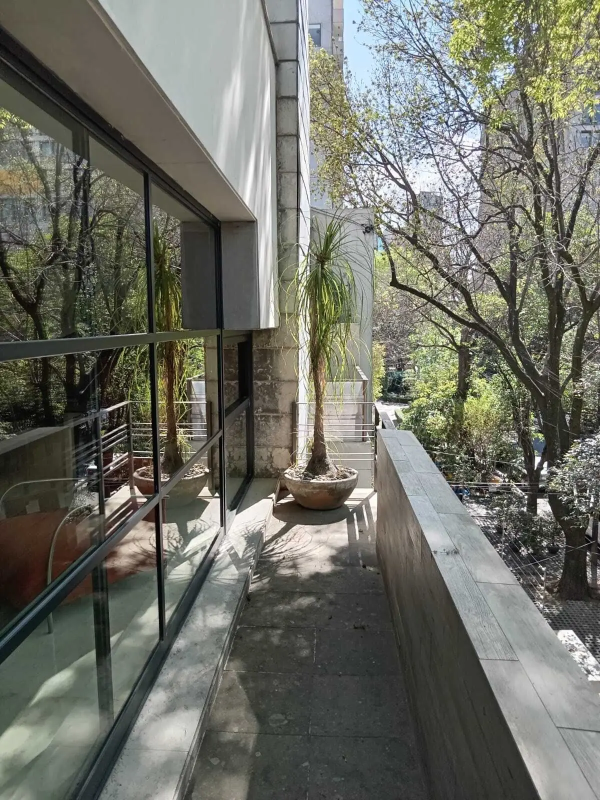 Tennyson Polanco, impecable PH con Terraza en Venta — foto 5