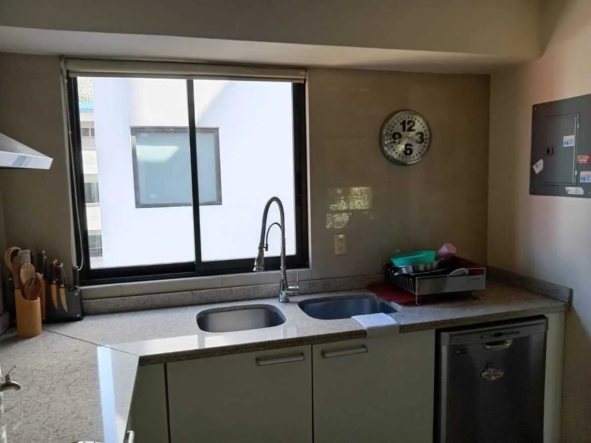 Tennyson Polanco, impecable PH con Terraza en Venta — foto 7