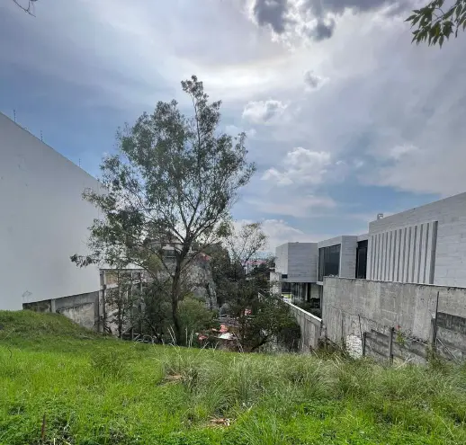 Bosques de las Lomas, Terreno habitacional en venta — foto 3