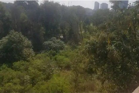 Bosque Real, terreno en venta en El Secreto — foto 2