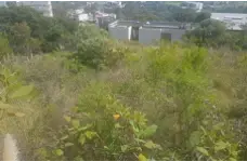 Bosque Real, terreno en venta en El Secreto — foto 3