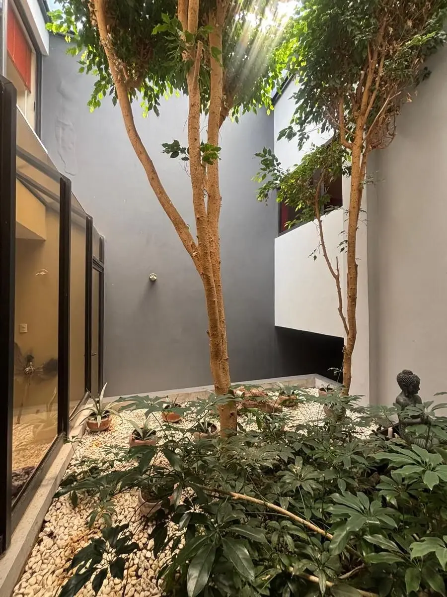 Casa en condominio de 3 casas. Jardines del Pedregal. — foto 6