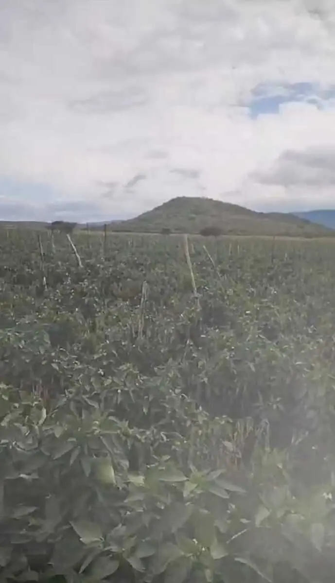 Rancho para Venta en el limite de Jalisco y Guanajuato