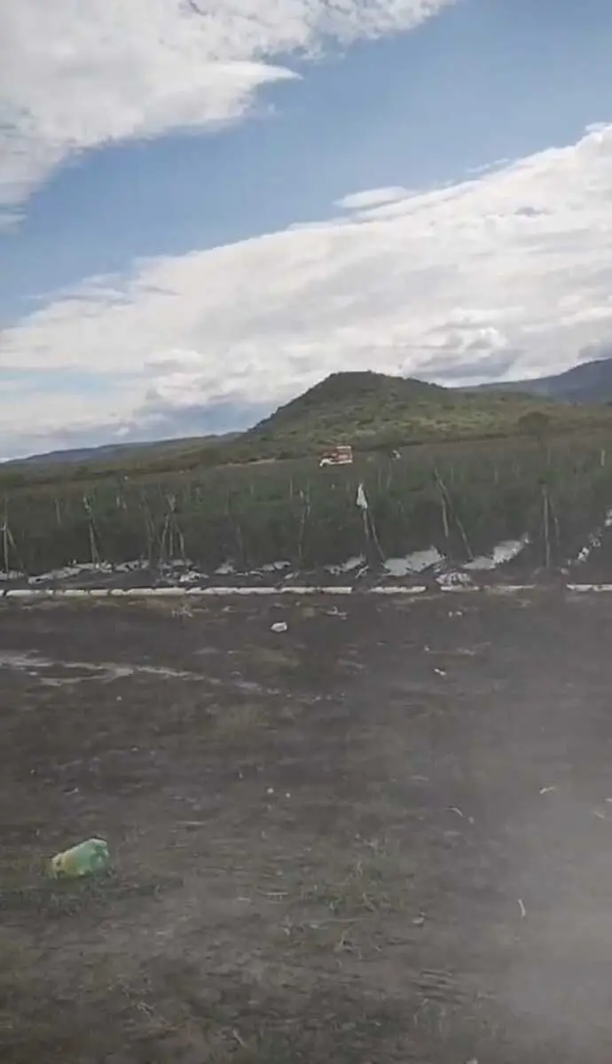 Rancho para Venta en el limite de Jalisco y Guanajuato — foto 7