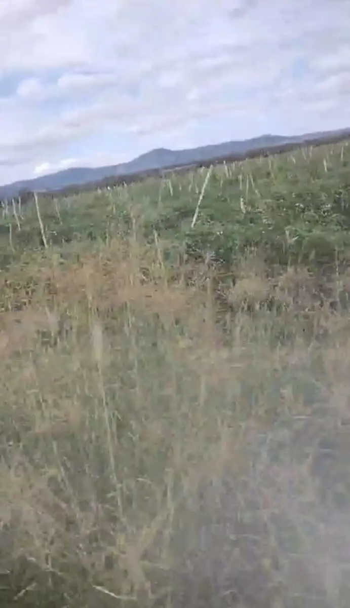 Rancho para Venta en el limite de Jalisco y Guanajuato — foto 8
