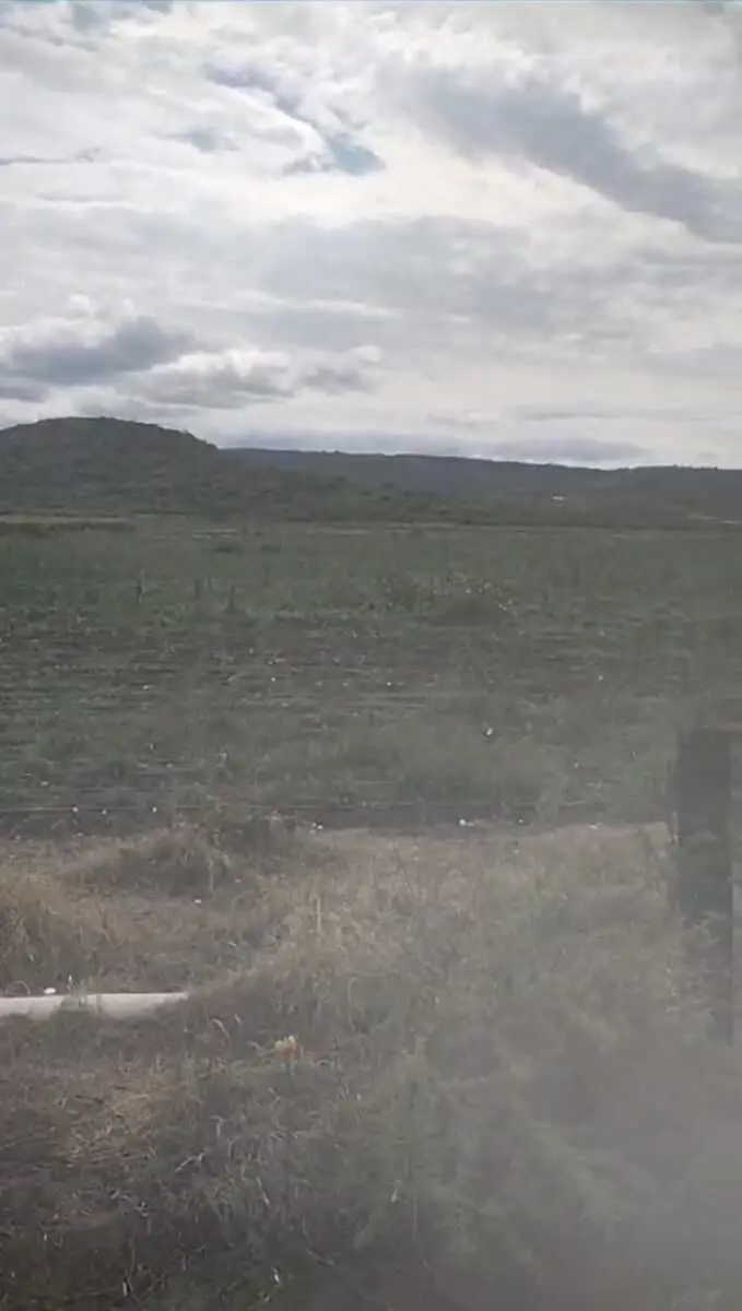 Rancho para Venta en el limite de Jalisco y Guanajuato — foto 9