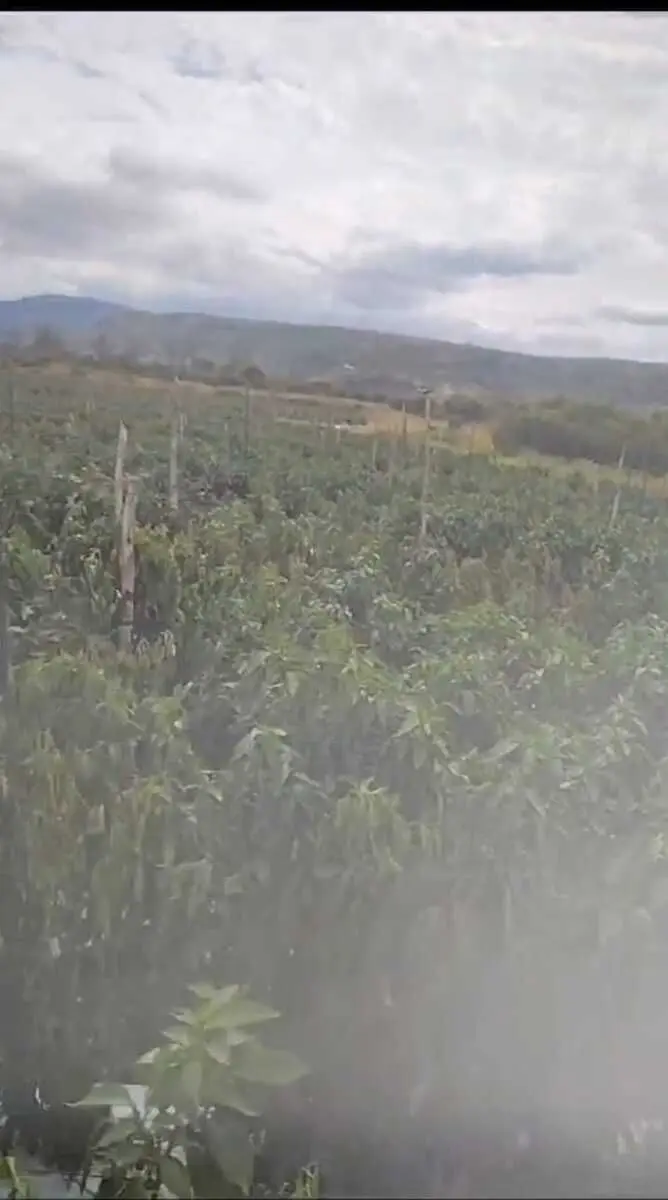 Rancho para Venta en el limite de Jalisco y Guanajuato — foto 10