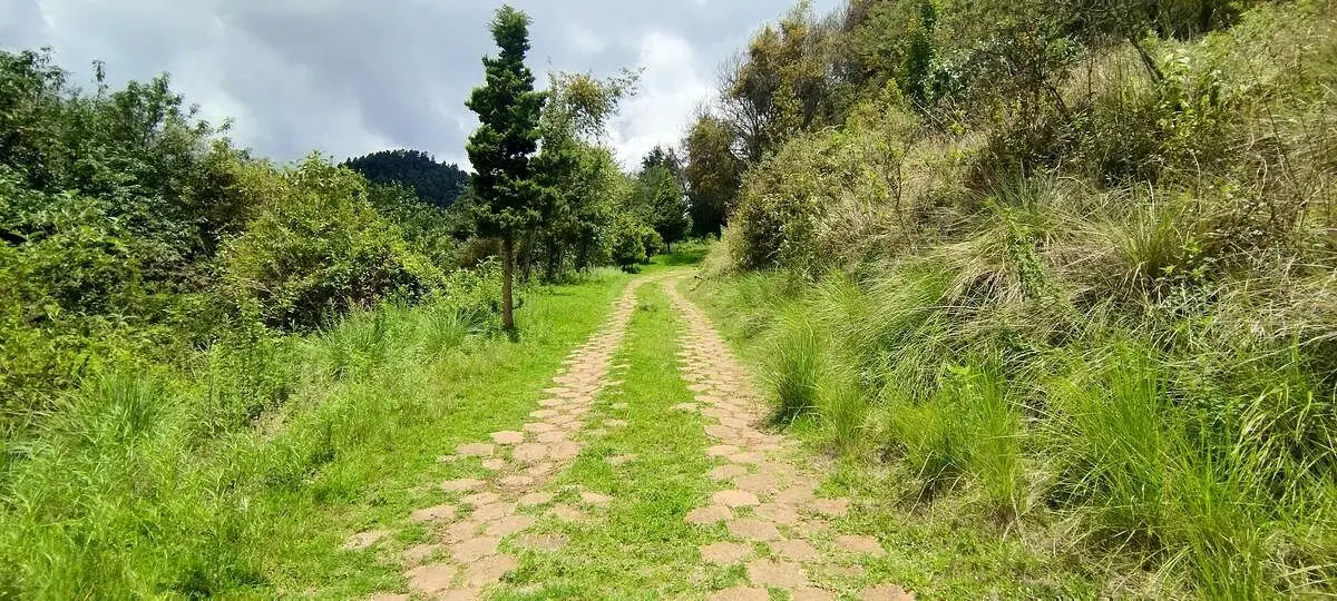 Terreno en Venta en Santa Rosa Xochiac — foto 3