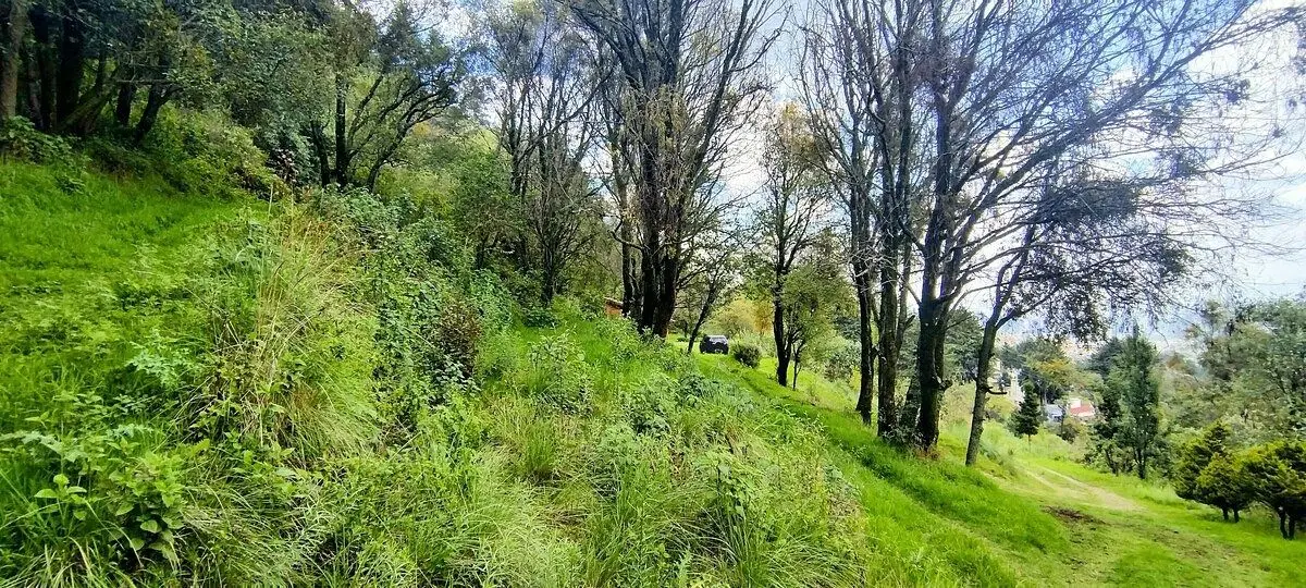 Terreno en Venta en Santa Rosa Xochiac — foto 5
