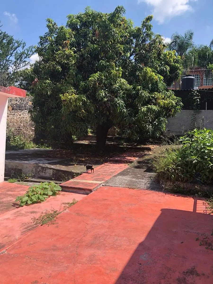 Venta Inmueble Como Terreno en Cuernavaca Municipio Emiliano Zapata — foto 4