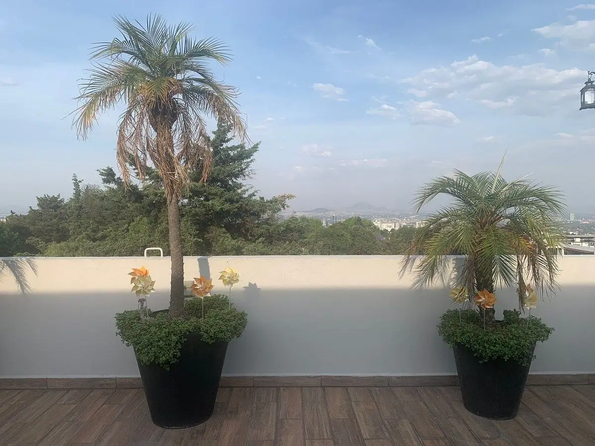 Se Vende Depto en el Desierto de los Leones — foto 5