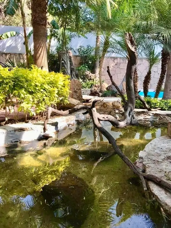 Renta de Casa Multimodal en Juriquilla, Querétaro — foto 5