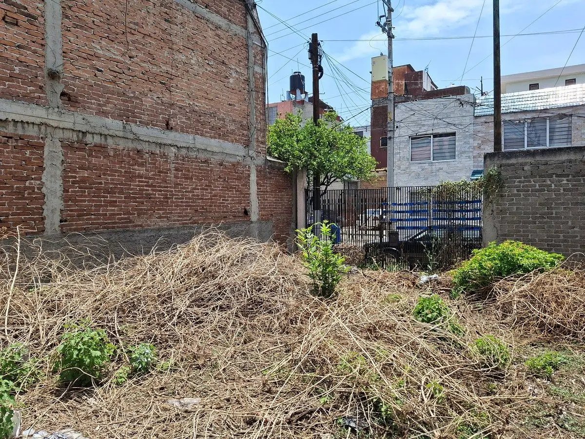 Excelente Terreno en Paseos de Churubusco — foto 5