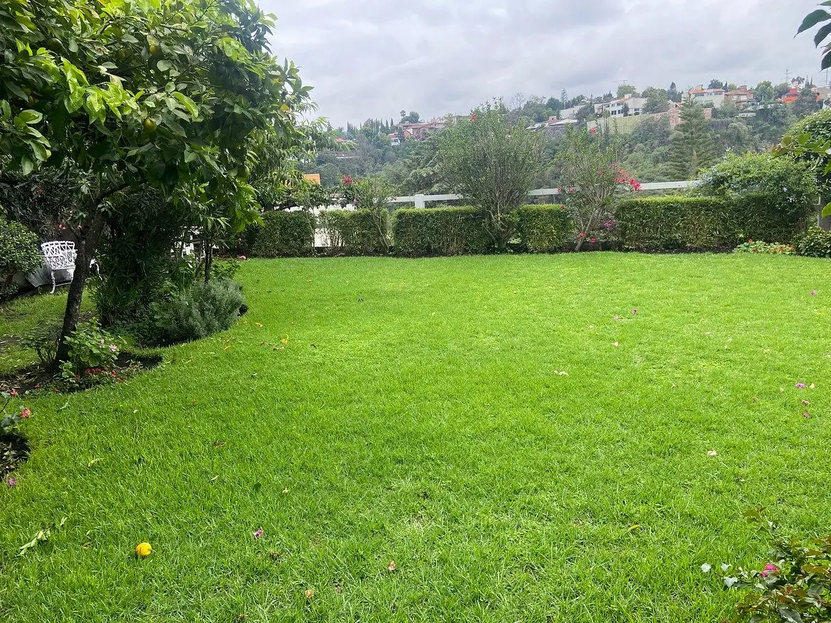 Renta Depto duplex - Herradura — foto 4