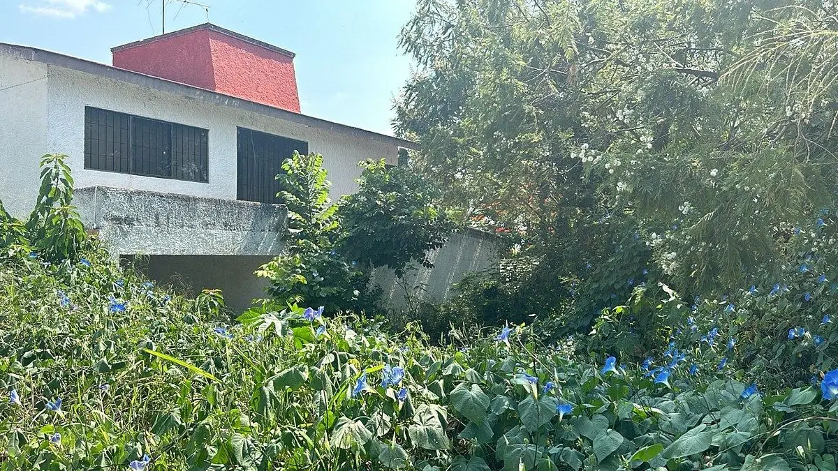 Vendo terreno dentro fraccionamiento Lomas de Cocoyoc — foto 6