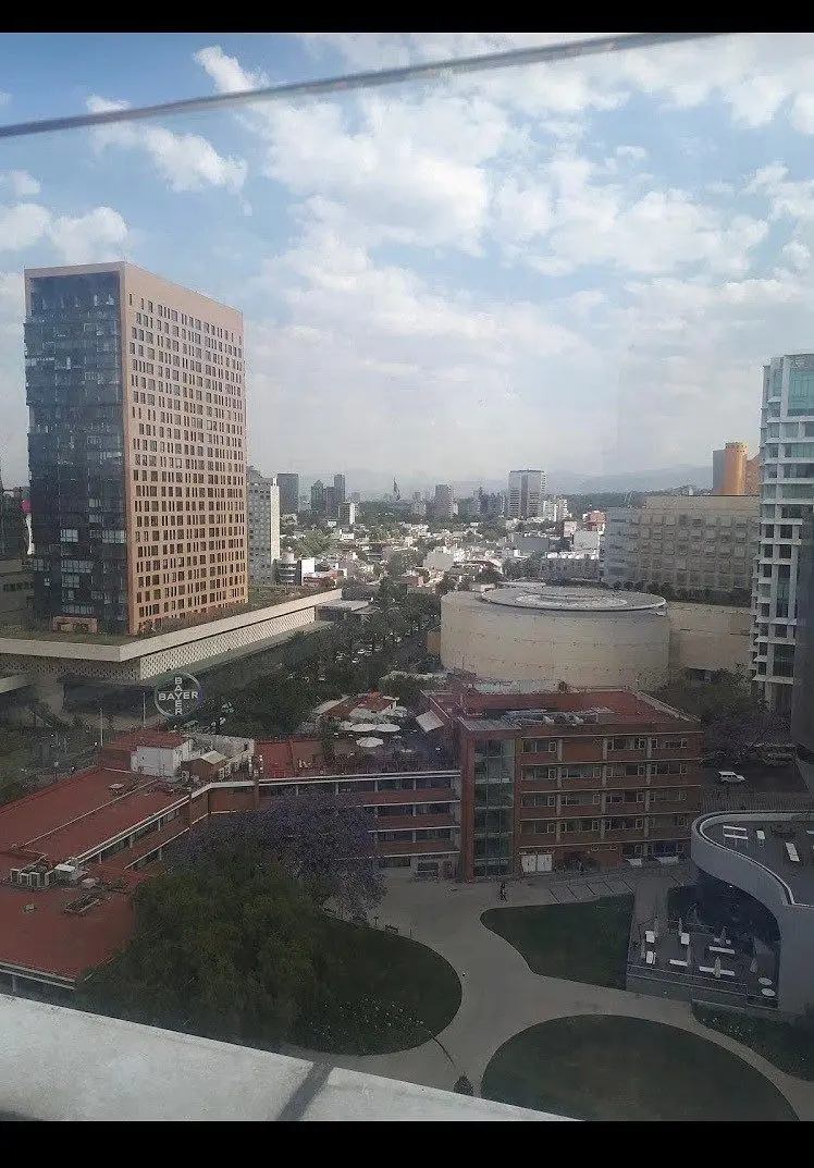 Carso-Torre Goya Depto Renta — foto 3