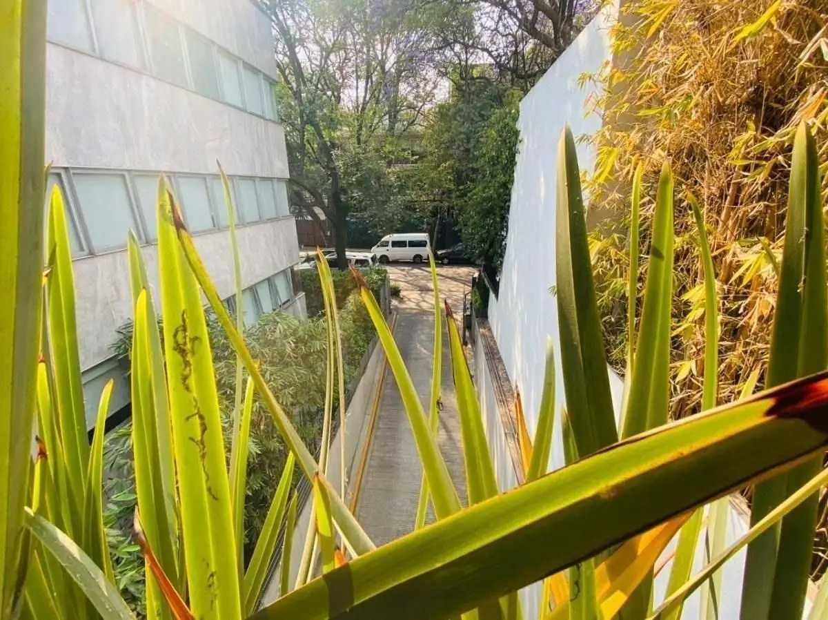 Excelente Propiedad en Venta en Eugenio Sue ,con Terraza — foto 4