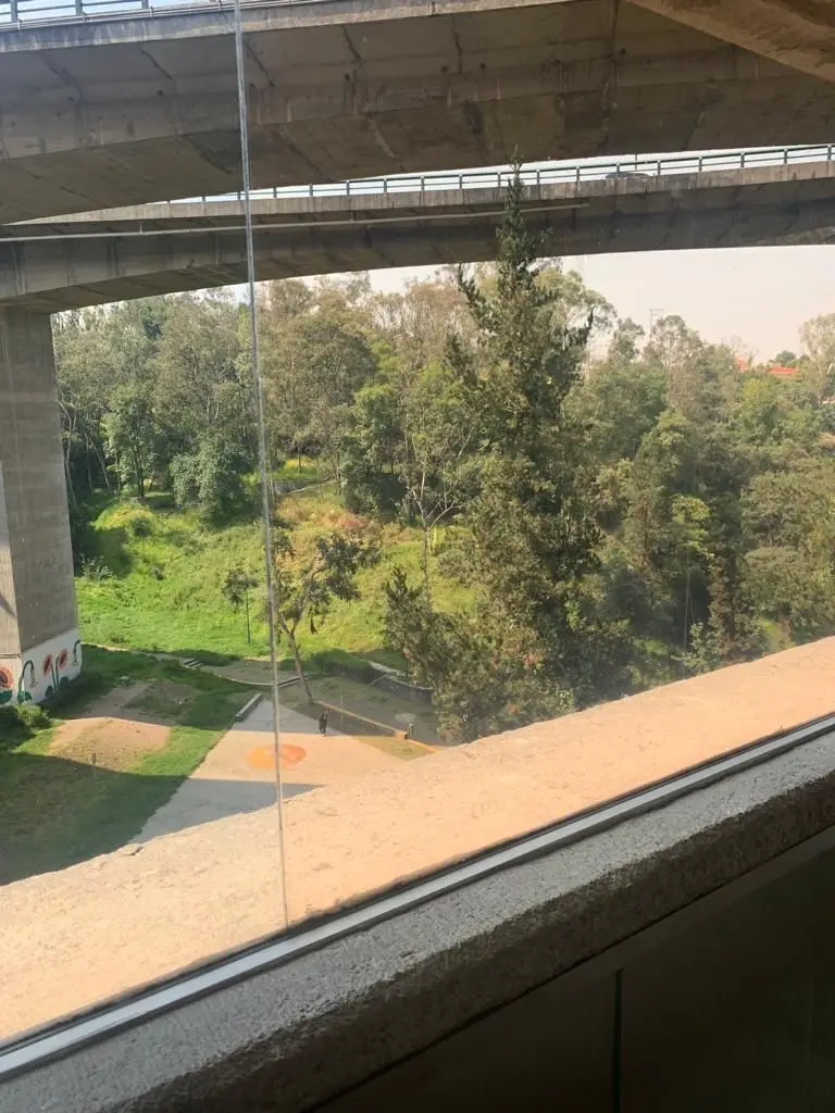 Oficina Bosque Ciruelos — foto 6