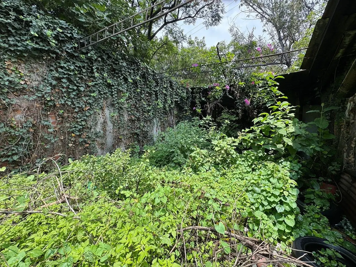 Excelente Terreno en Venta en Esquina San Pedro de Los Pinos Benito Juárez, Cdmx — foto 5