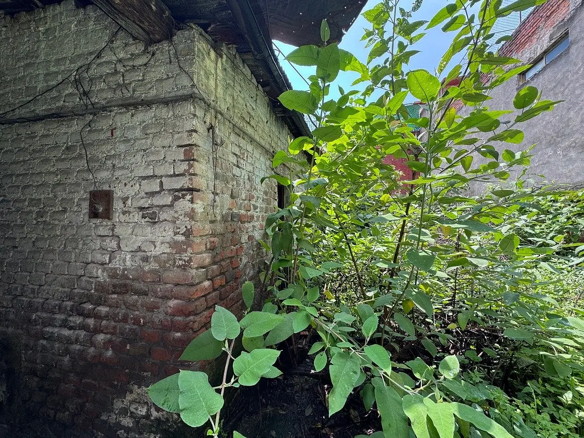 Excelente Terreno en Venta en Esquina San Pedro de Los Pinos Benito Juárez, Cdmx — foto 6