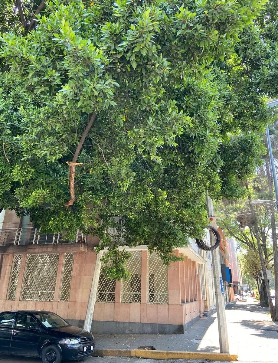 Casa en Verónica Anzures con Uso de Suelo Mixto