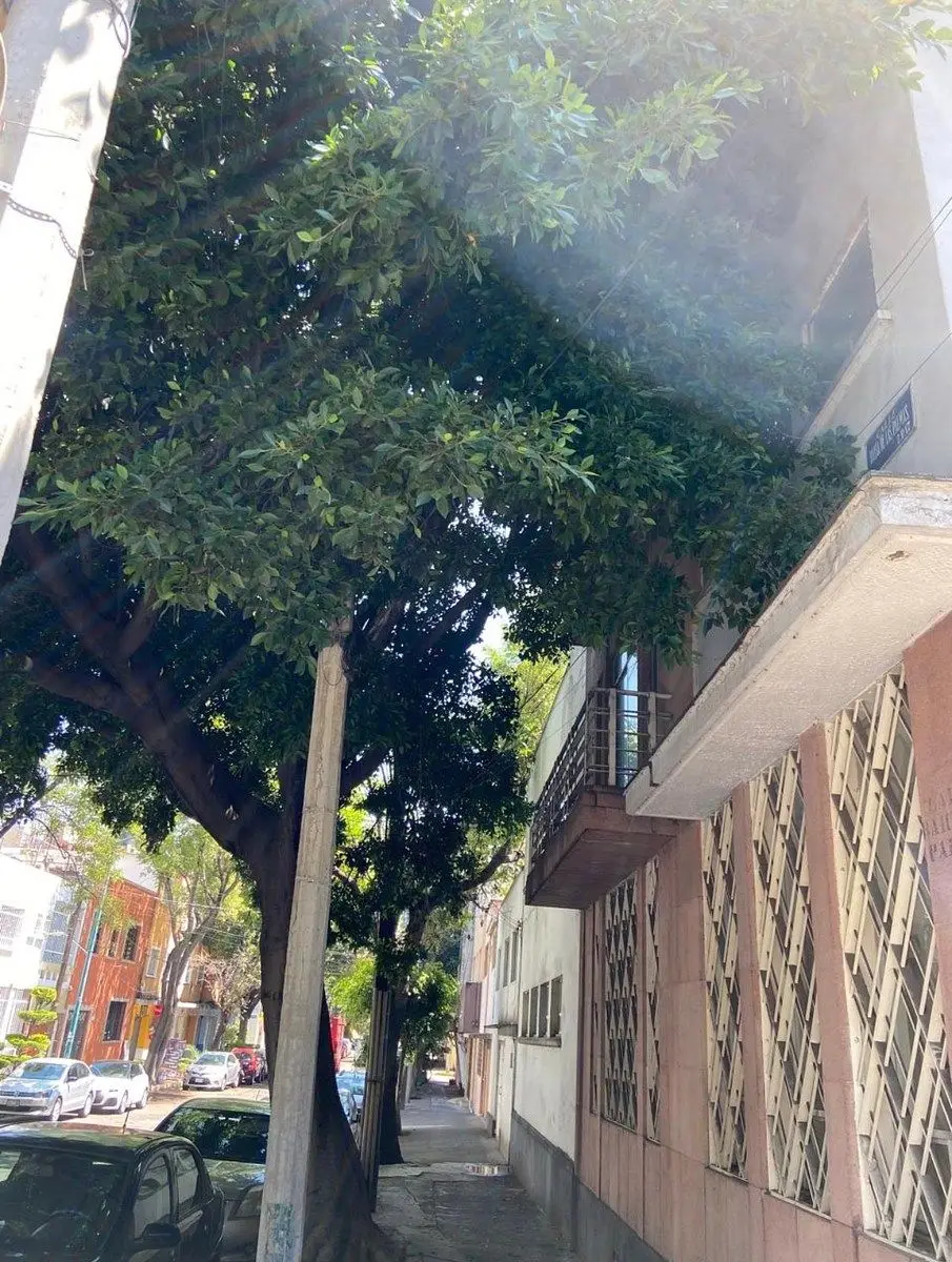 Casa en Verónica Anzures con Uso de Suelo Mixto — foto 5