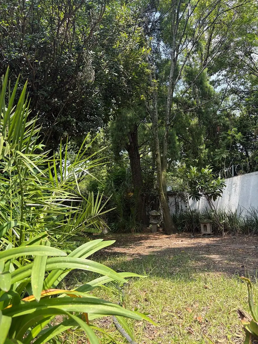 Casa para Remodelar en las Lomas de Chapultepec — foto 2