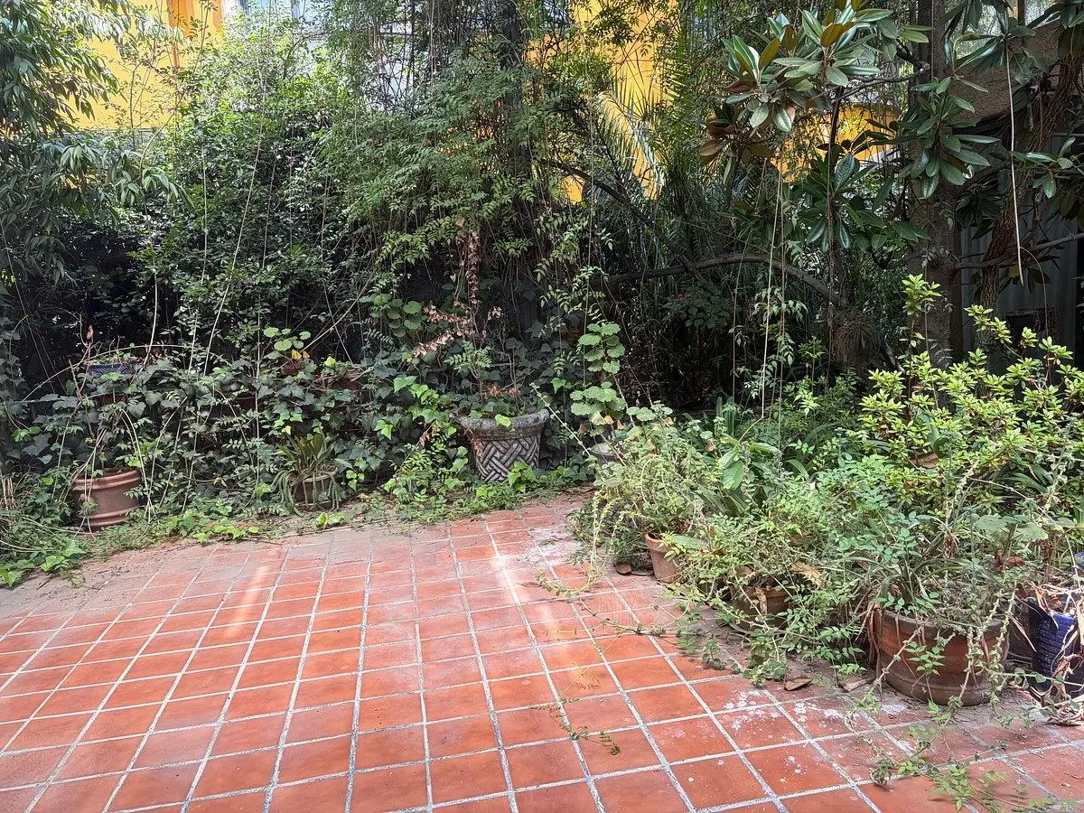 Casa para Remodelar en las Lomas de Chapultepec — foto 5