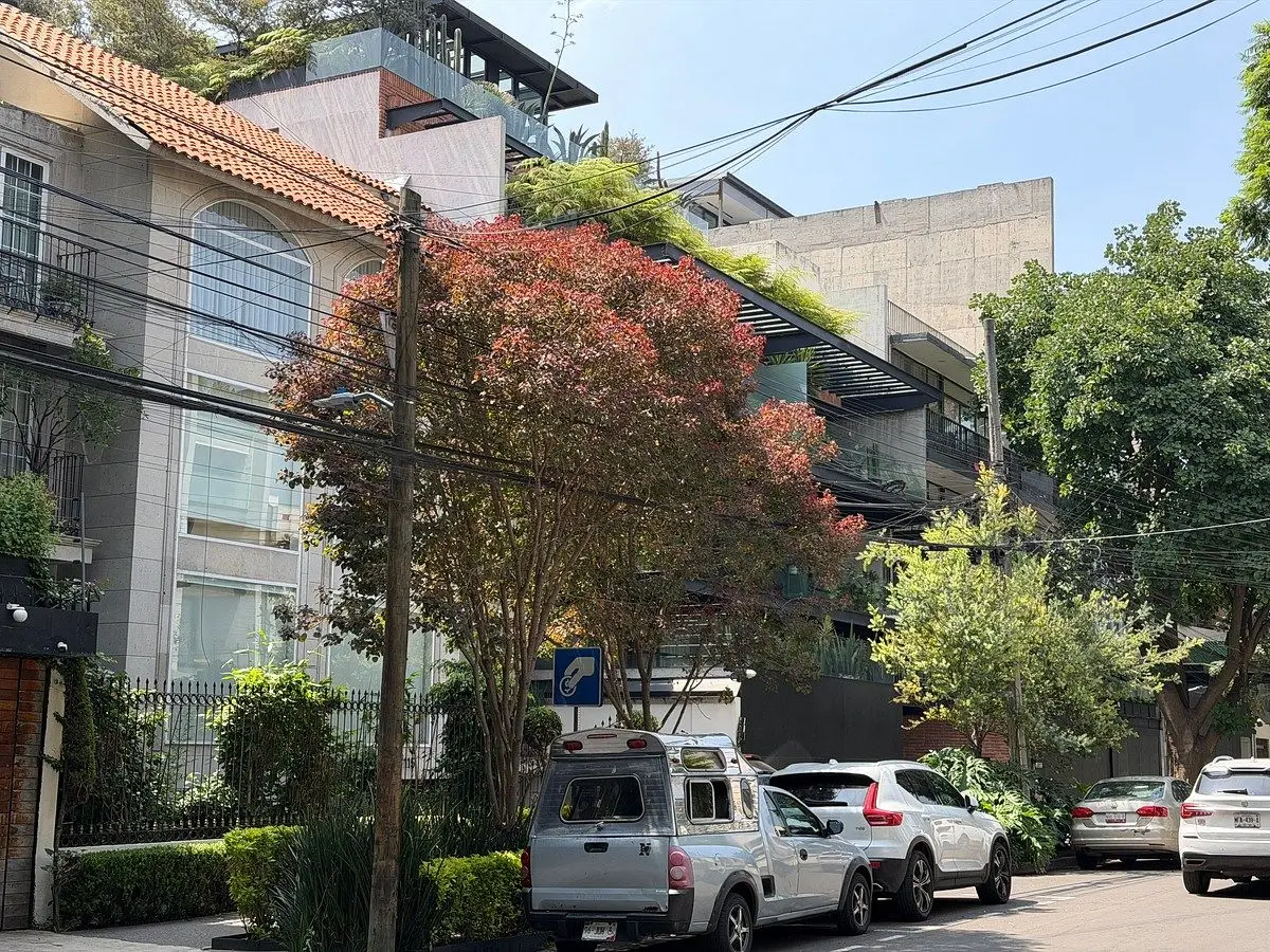 Excelente oportunidad en Polanco IV Sección: Depto en PB con terraza privada — foto 3