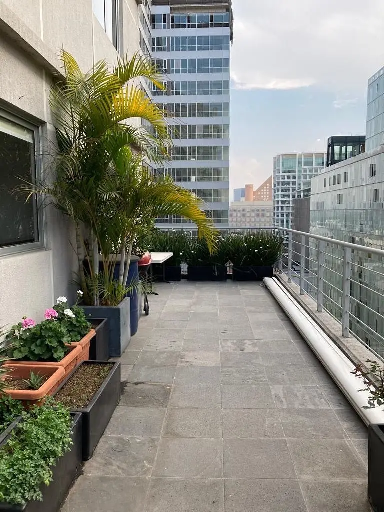 **departamento en Renta Amueblado con Amplia Terraza**