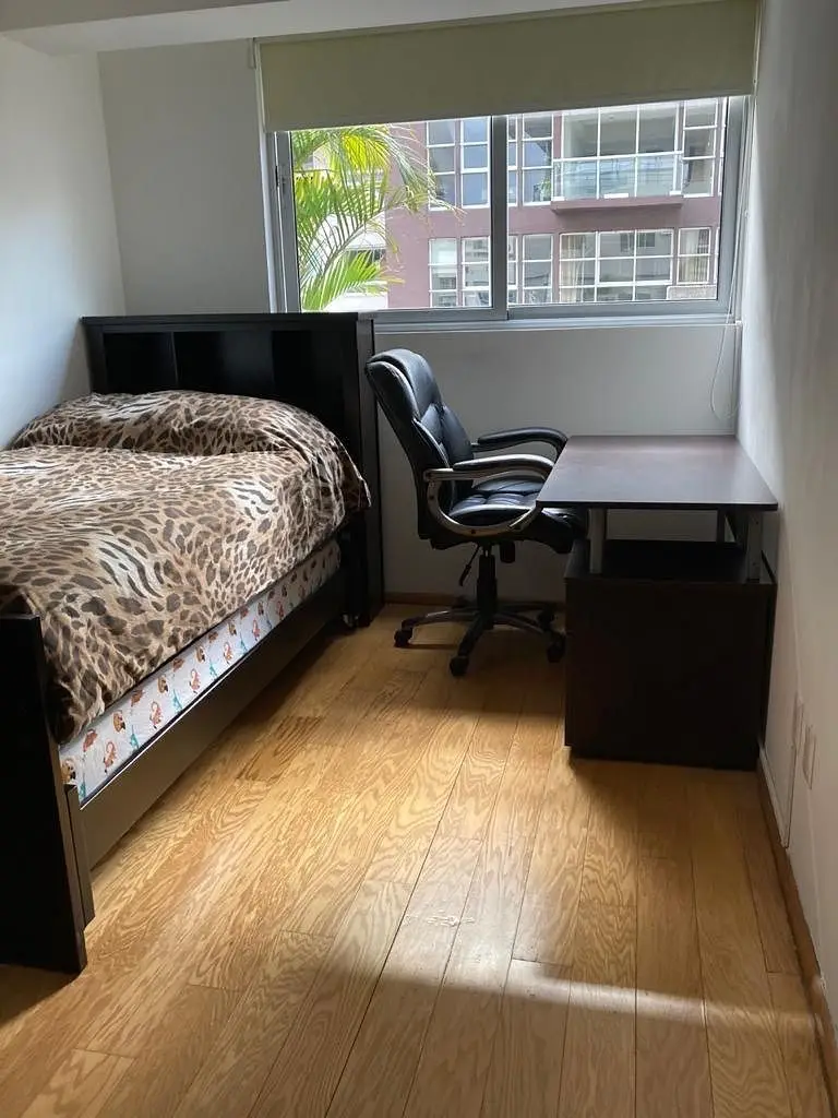 **departamento en Renta Amueblado con Amplia Terraza** — foto 4