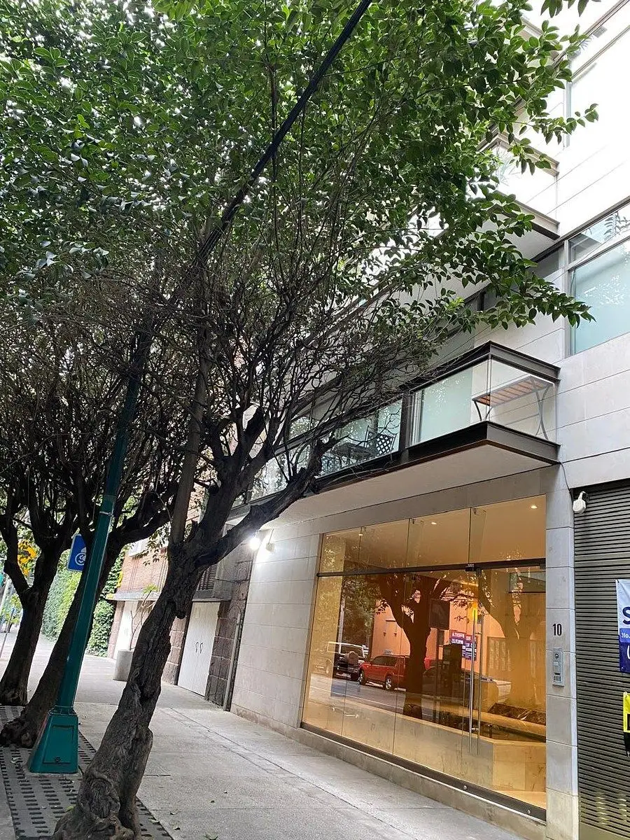 Precioso Departamento en Polanco