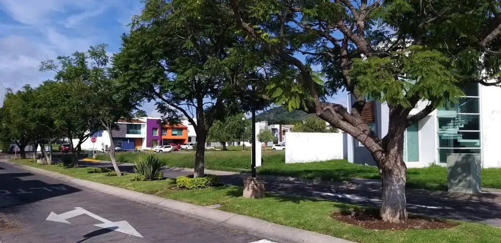 Terreno Venta en Bosques de Santa Anita
