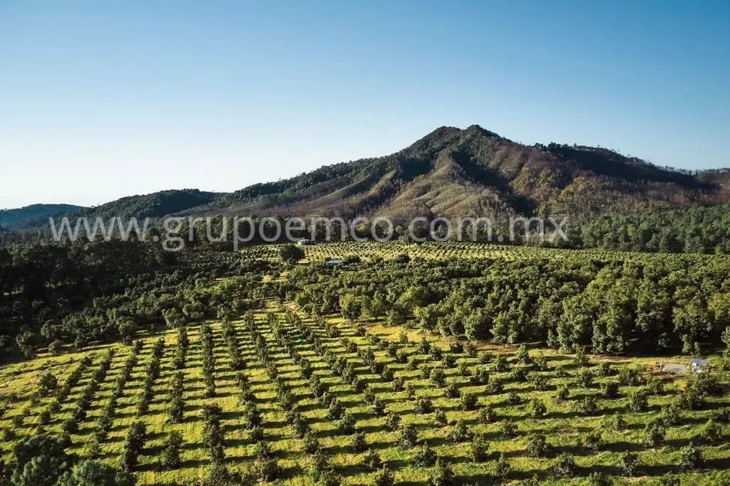 Terreno Campestre Reserva San Gregorio, Concepción de Buenos Aires