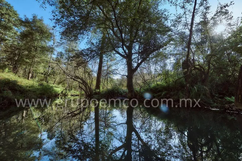 Terreno Campestre Reserva San Gregorio, Concepción de Buenos Aires — foto 12