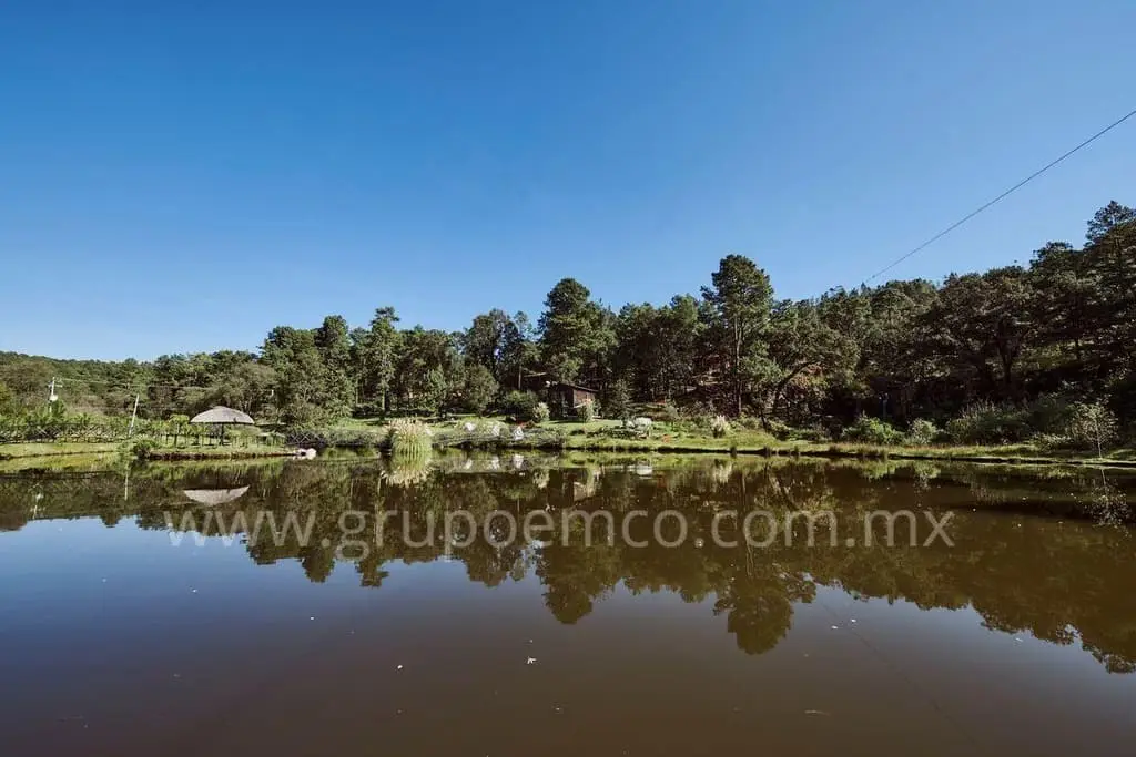 Terreno Campestre Reserva San Gregorio, Concepción de Buenos Aires — foto 4
