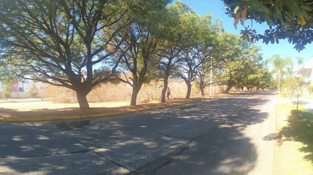 Terreno Bugambilias 2,005 m2 — foto 3