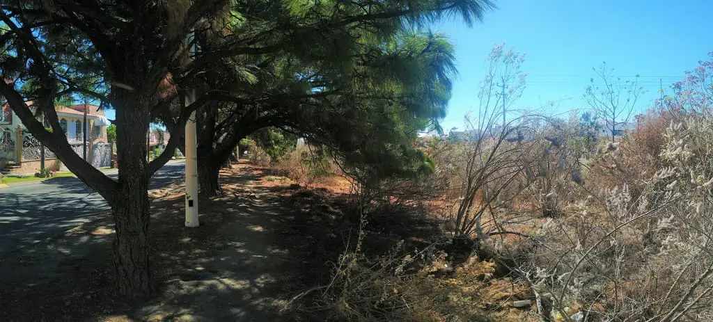 Terreno Bugambilias 2,005 m2 — foto 9